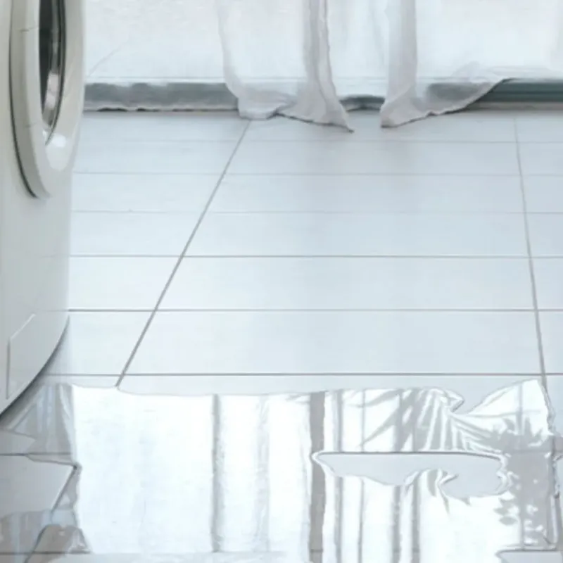 Appliance Leak Cleanup in Raleigh, MS