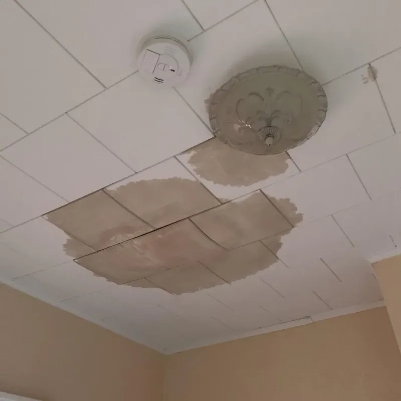 Ceiling Water Damage Repair in Raleigh, MS
