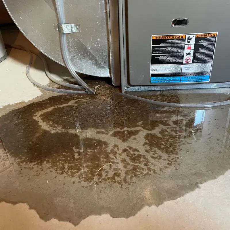 Pipe Burst and Leak Restoration in Raleigh, MS
