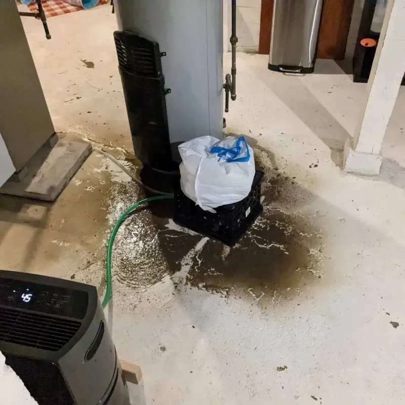 Sewage Backup Cleanup Service in Raleigh, MS